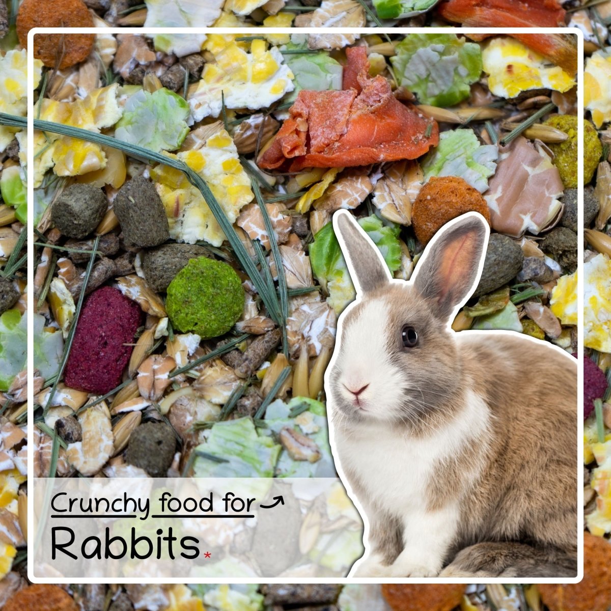 Rabbit seed mix best sale